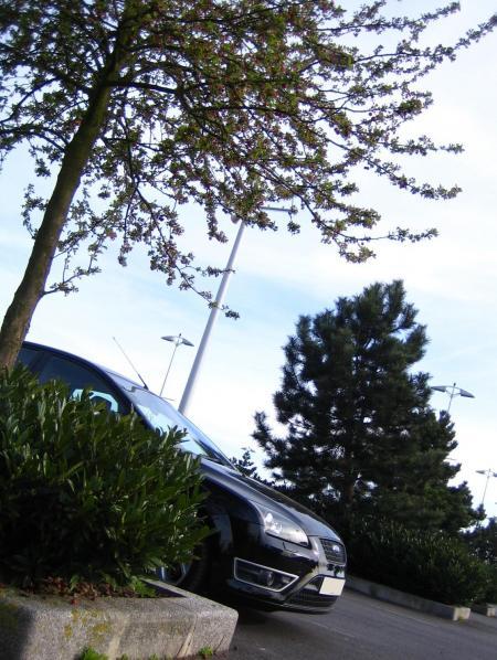 Ford Focus  ST