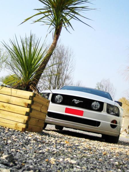 Fors Mustang GT/RR